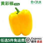 黄彩椒新鲜黄圆椒甜椒沙拉蔬菜食材生吃水果椒灯笼椒太空椒柿子椒