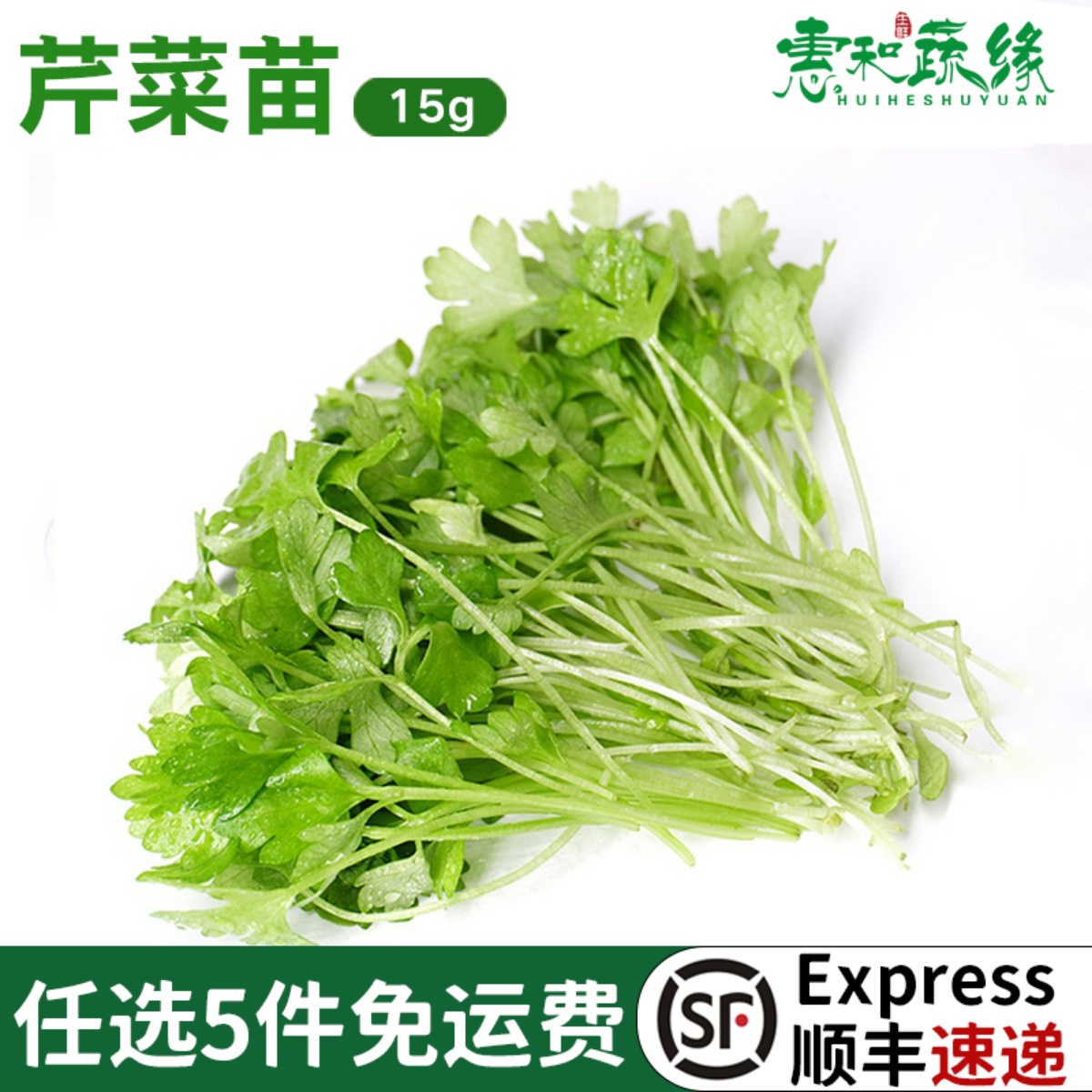 芹菜新鲜一盒食用酒店香料