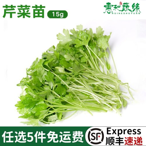 芹菜新鲜一盒食用酒店香料