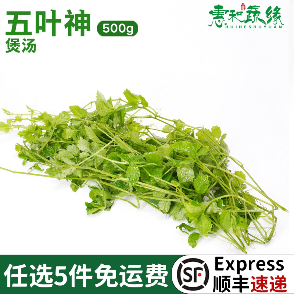 五叶神新鲜五叶参蔬菜野菜农家乐庄煲汤食用特色食材福音草七叶参
