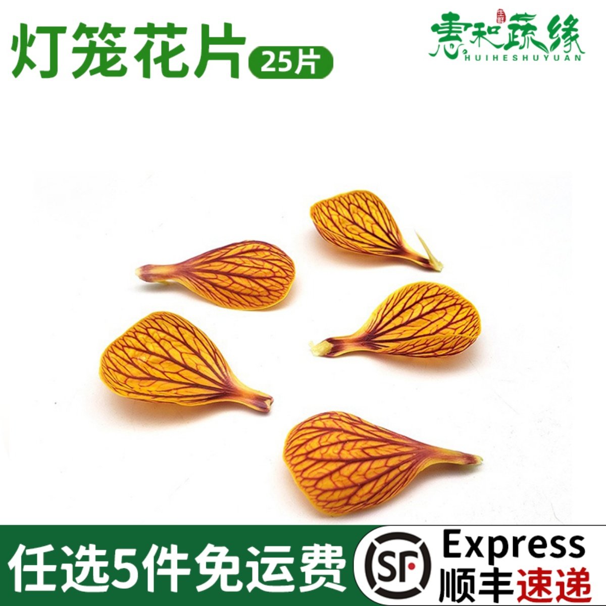 灯笼花瓣新鲜摆盘花草点缀25片