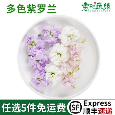 新鲜紫罗兰花鲜花烘焙蛋糕装饰花草西餐烘焙酒店摆盘点缀花束鲜花
