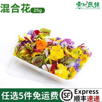 混合花新鲜三色堇酸摸黄菊花跳舞兰玫瑰花瓣蛋糕摆盘装饰花草点缀