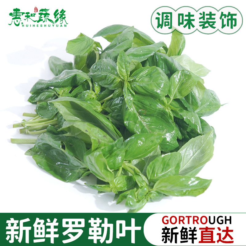 新鲜罗勒叶食用250g青酱食材西餐香料菜调味料非九层塔非打抛叶