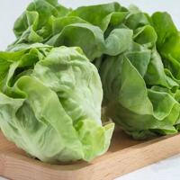 500g fresh cream lettuce, Boston vegetable salad, light Western cuisine, cold dish, raw ingredients, butter lettuce thumbnail 2