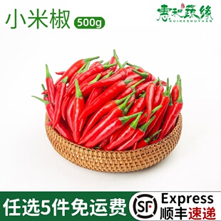 新鲜小米椒小米辣椒新鲜特辣朝天椒红皮辣椒指天椒蔬菜