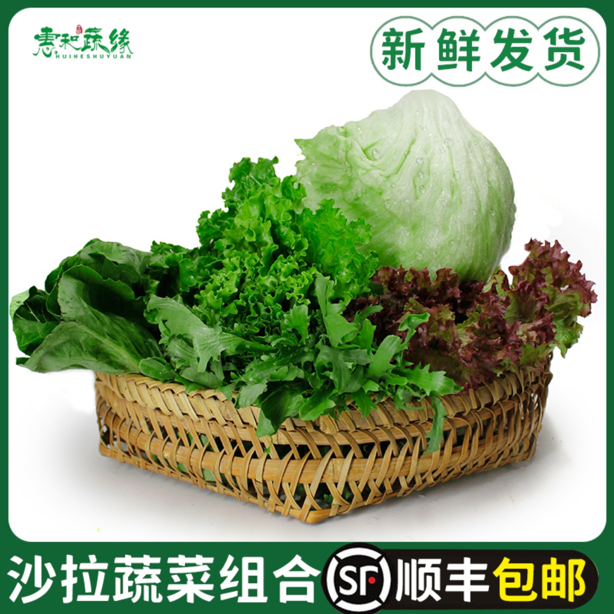 新鲜蔬菜沙拉组合装球苦菊红叶