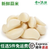 新鲜蒜米250g去皮大蒜瓣干蒜子蒜头手工剥皮蒜米食用蒜蓉酱食材