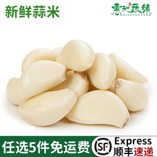 新鲜蒜米250g去皮大蒜瓣干蒜子蒜头手工剥皮蒜米食用蒜蓉酱食材
