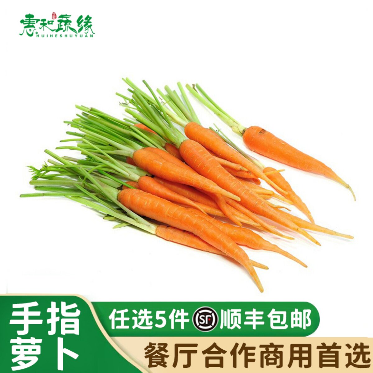 蔬菜沙拉轻食食材西餐生吃迷你萝卜新鲜去叶手指萝卜水果胡萝卜