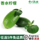 海南香水柠檬新鲜无籽香水青柠檬500g皮薄多汁5件顺丰