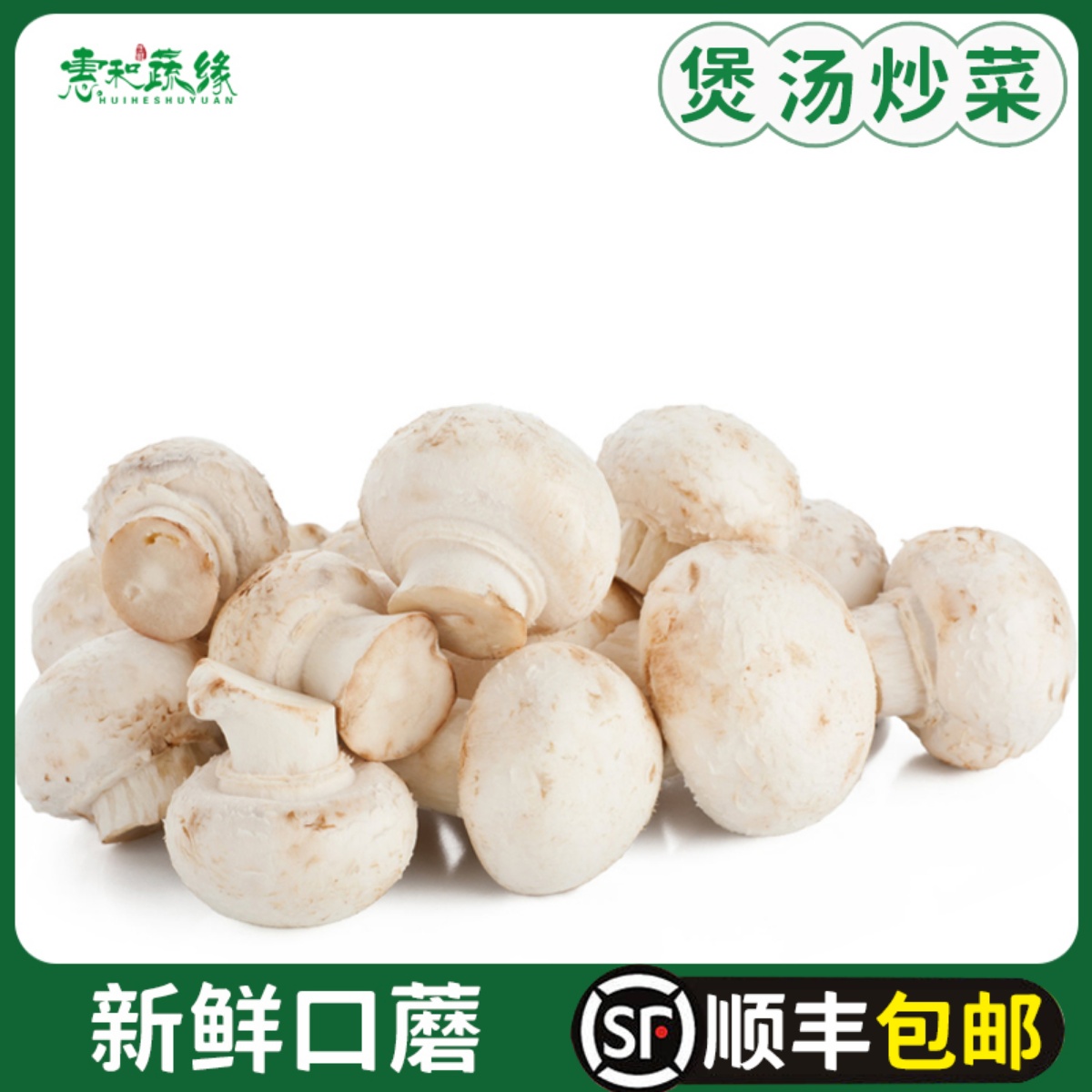 口蘑新鲜白蘑菇 食用菌菇双孢菇口菇煲汤炒菜火锅烧烤食材蔬菜