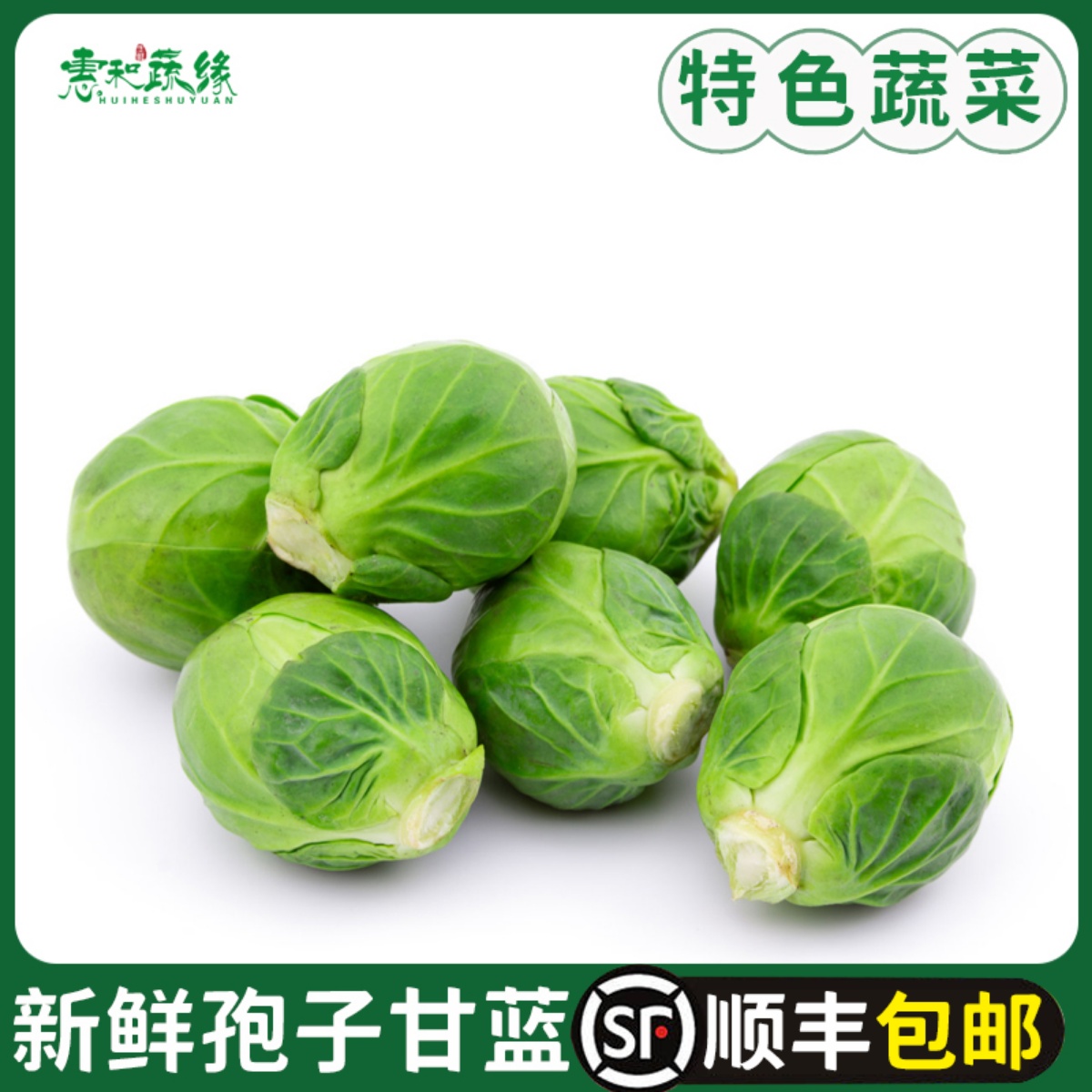 孢子甘蓝新鲜食用西餐沙拉蔬菜食材迷你小宝菜小卷心菜抱子甘蓝
