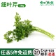 新鲜细叶芹100g西餐香料摆盘食用香叶芹有喙 欧芹山萝卜叶茴芹