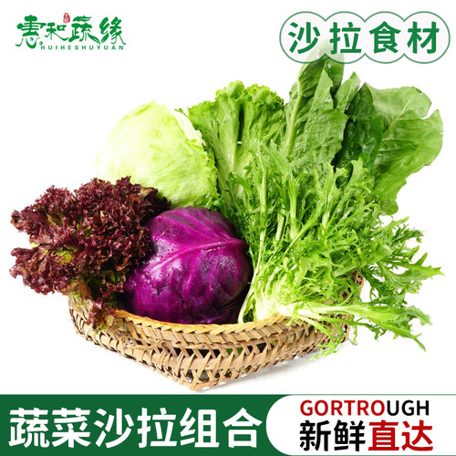 蔬菜沙拉组合套餐新鲜球生菜红叶苦菊绿叶罗马生菜紫包菜轻食食材