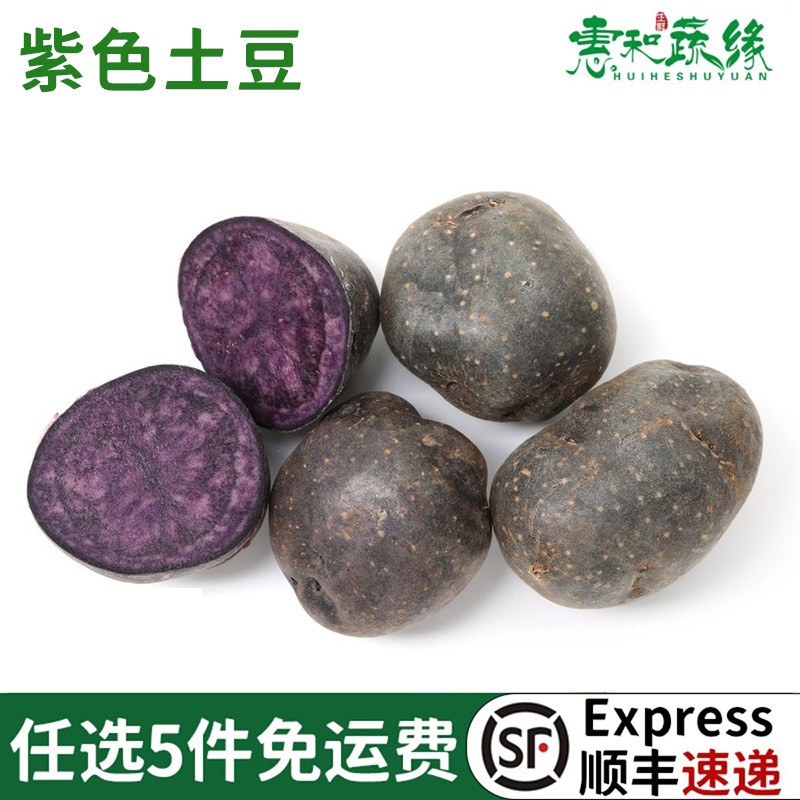 新鲜紫色小土豆紫马铃薯黑金刚洋芋黑土豆食用黑美人紫心紫皮土豆