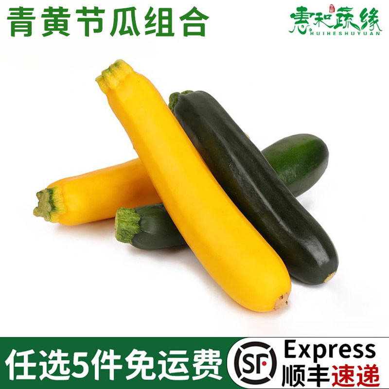 新鲜青黄节瓜组合500g 青节瓜黄节瓜西葫芦 西餐料理炒菜沙拉食材