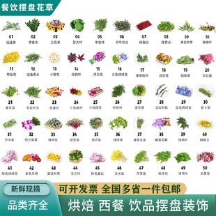 摆盘花草套餐蛋糕西餐装饰点缀叶子三色堇清香木黄金柳芽薄荷叶头