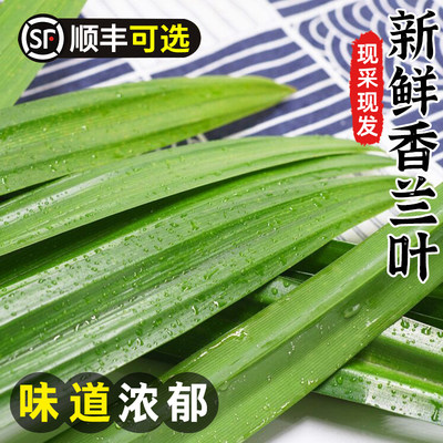 斑斓叶新鲜食用香兰叶泰式食材