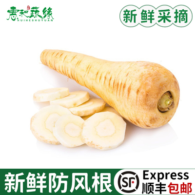 新鲜防风根欧洲萝卜品种 新鲜蔬菜parsnip法国西餐烘焙烤制食用
