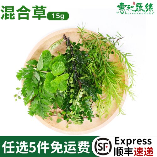 混合草西餐蛋糕装饰摆盘点缀叶子