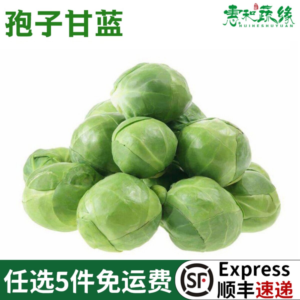 孢子甘蓝新鲜蔬菜西餐沙拉食材