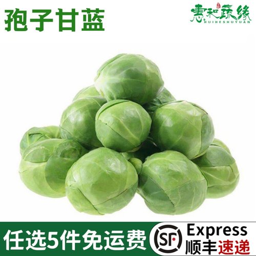 孢子甘蓝新鲜蔬菜西餐沙拉食材