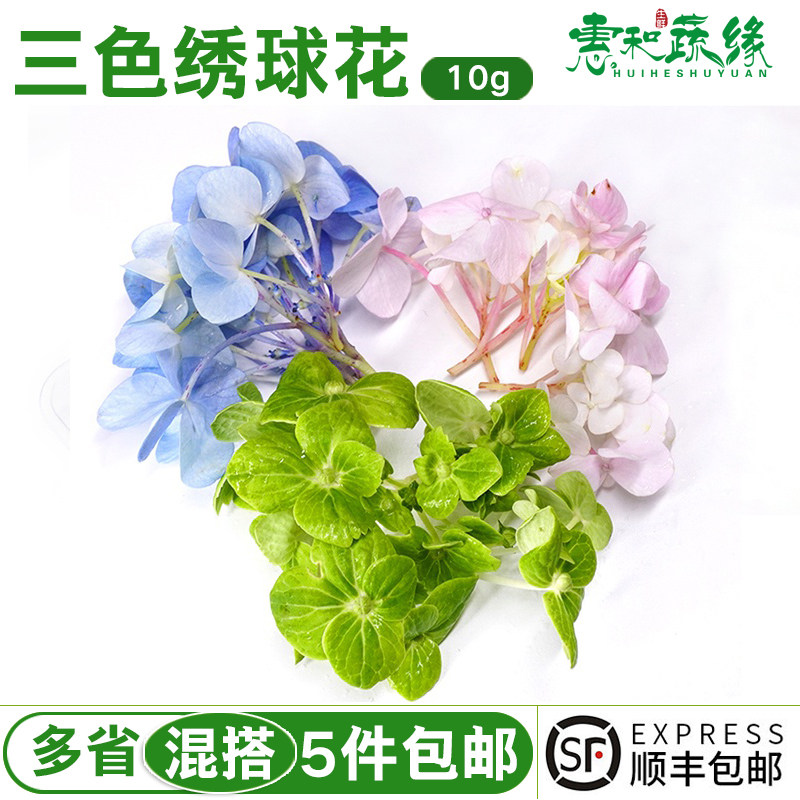 三色绣球花新鲜不可食用花红绿蓝花朵西餐厅酒店摆盘蛋糕装饰点缀