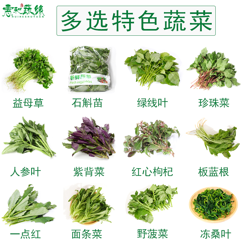 新鲜蔬菜酒楼特色蔬菜食材煲汤野菜益母草石斛苗珍珠菜人参叶蔬菜