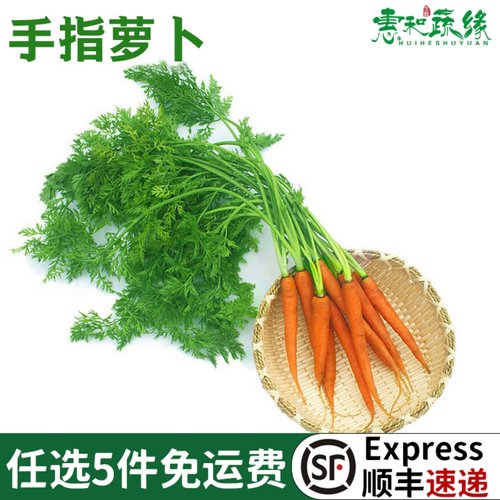 手指萝卜新鲜水果蔬菜