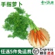 新鲜手指萝卜500g迷你水果胡萝卜蔬菜沙拉轻食西餐生吃食材小萝卜