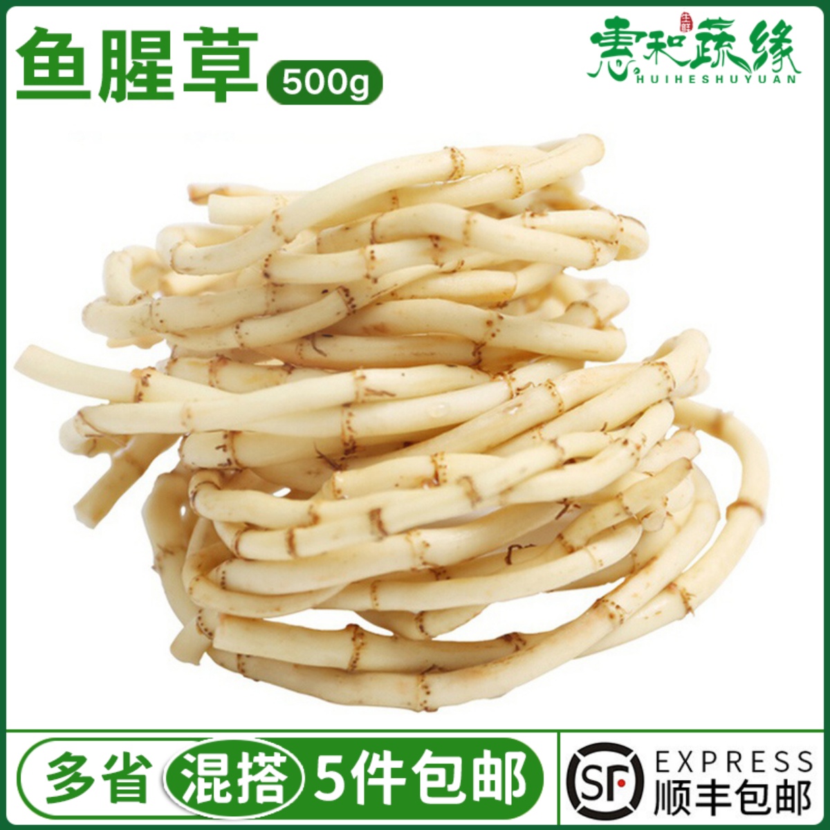 鱼腥草新鲜折耳根凉拌