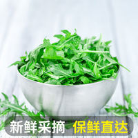 Arugula, fresh sesame leaf salad, vegetable ingredients, light Western cuisine, lettuce, arugula, free shipping thumbnail 2