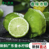 广东香水柠檬新鲜精选一级果无籽青柠果园现摘直发咖啡奶茶店专用