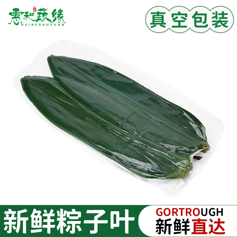 新鲜小粽叶装饰摆盘点缀真空包装