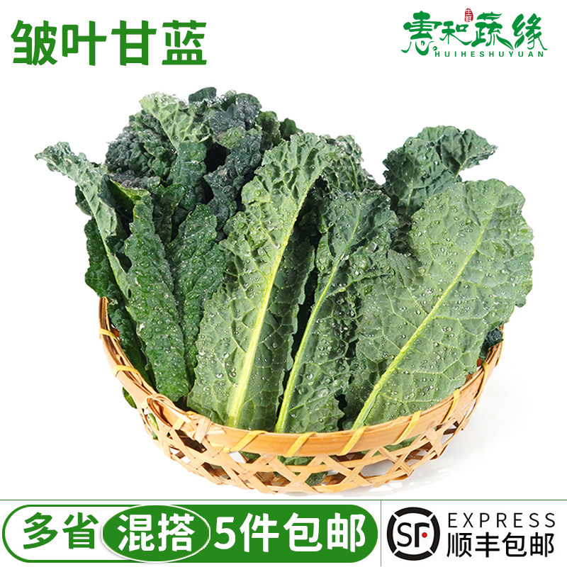 新鲜皱皮甘蓝200g黑宝石羽衣甘蓝亚非皱皮叶甘蓝沙拉蔬菜皱叶菜