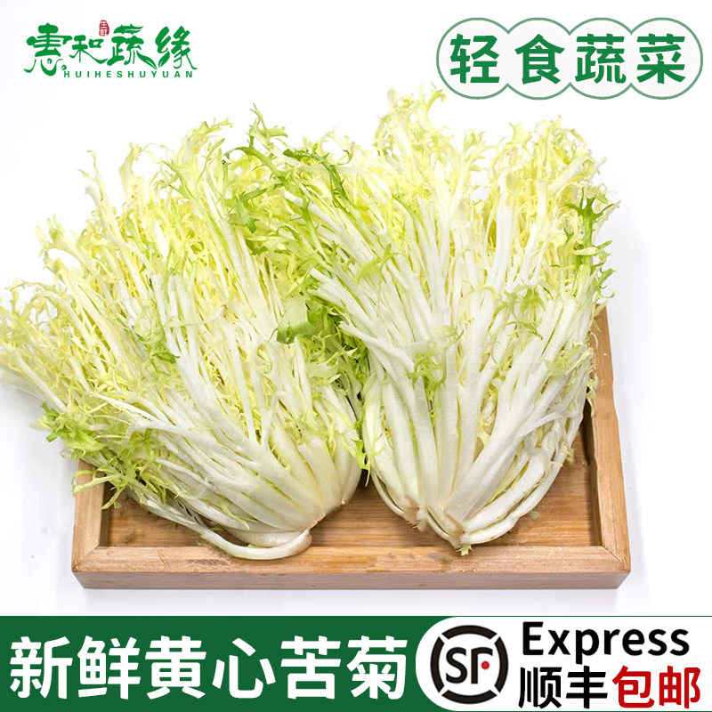 新鲜黄心苦菊生菜蔬菜新鲜蔬菜沙拉西餐食材健身轻食蔬菜沙拉