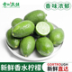香水柠檬新鲜海南皮薄一级果5斤 无籽精选香水青柠檬奶茶用品 包邮