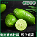 包邮 香水柠檬新鲜海南皮薄一级果5斤 无籽精选香水青柠檬奶茶用品