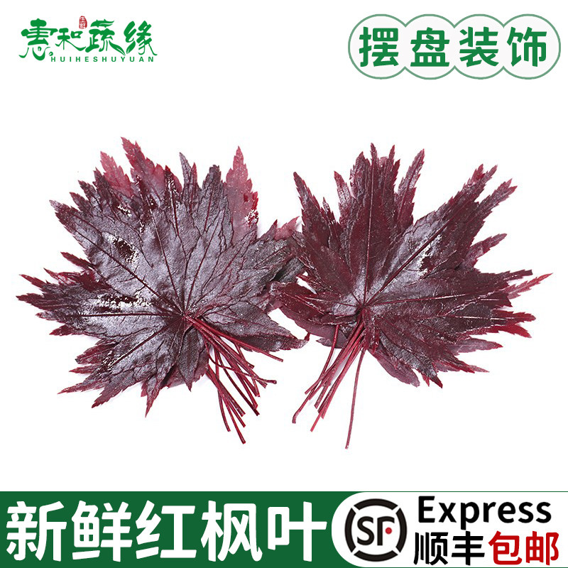 红枫叶新鲜摆盘点缀花草顺丰包邮
