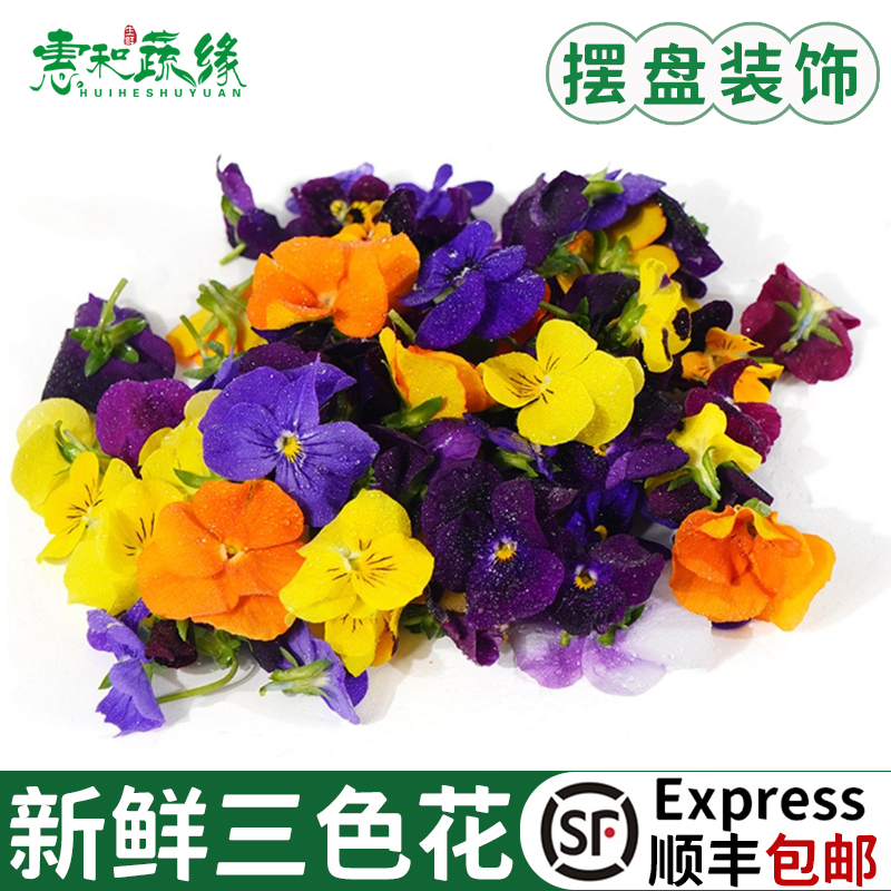 三色堇花可食用摆盘点缀花草叶子