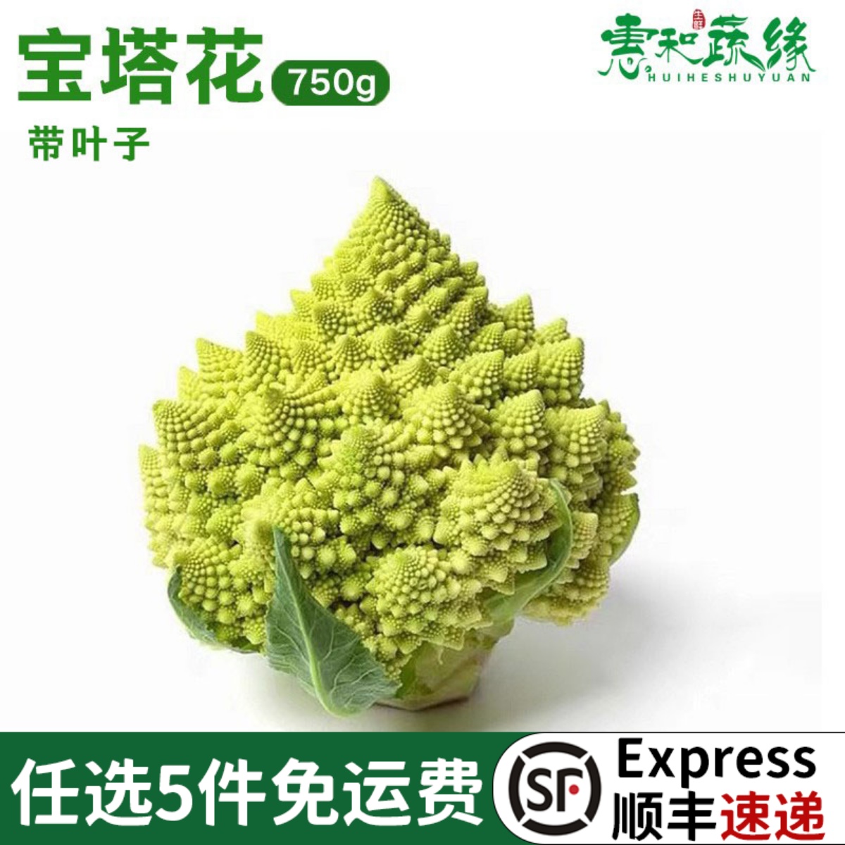 新鲜宝塔菜750g罗马西餐食材酒店