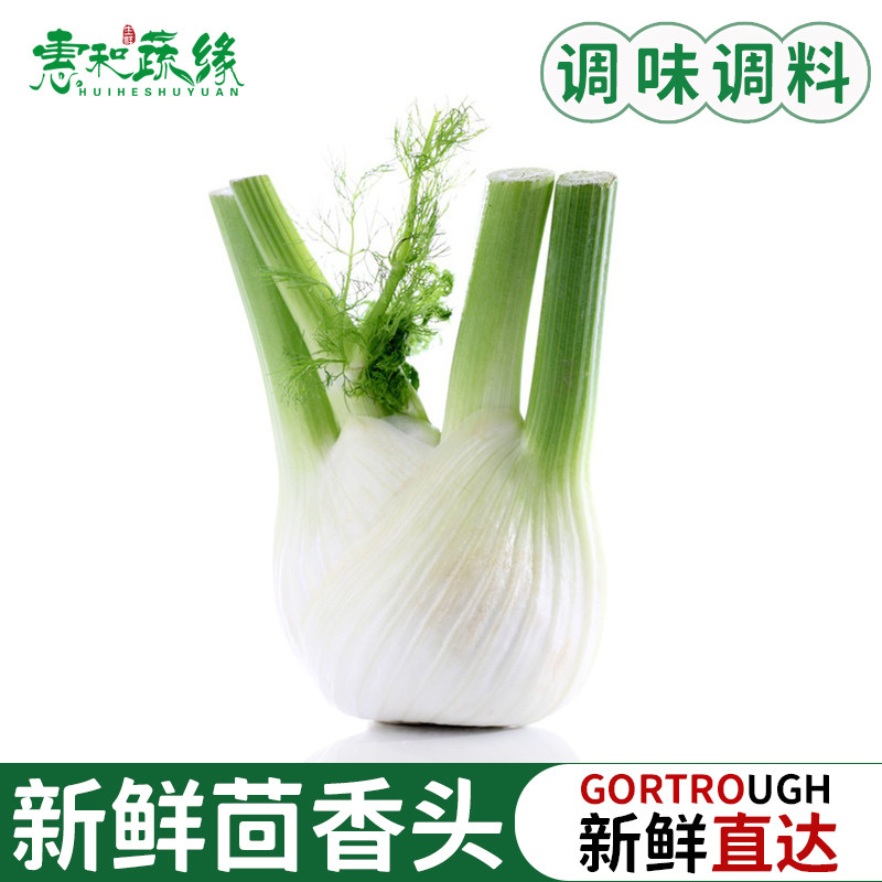 新鲜茴香头茴香根茴香球西餐料理食材调味调料新鲜蔬菜茴香球茎
