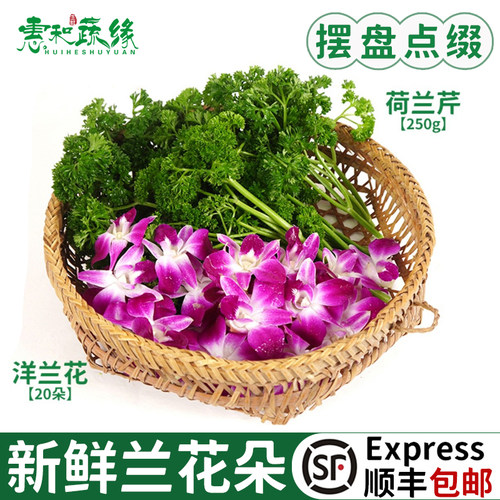 新鲜蔬菜沙拉食材生菜