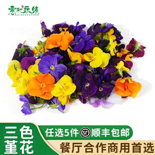 三色堇可食用花新鲜西餐酒楼摆盘装饰花草甜品蛋糕点缀叶子三色花