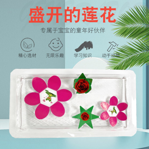 追鹿物理表面张力盛开的纸莲花