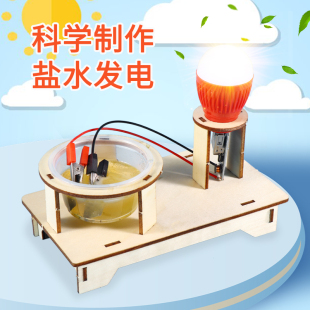 盐水发电灯导电新能源科学实验科技小制作学生物理教具DIY材料包