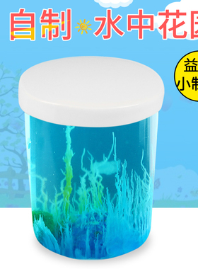 化学科学实验教具 diy小学生科技小制作stem儿童发明创意水中花园