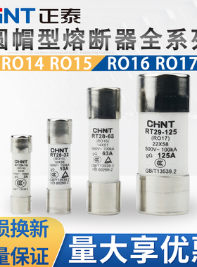 正泰RT28-32/63熔断器熔芯 熔断体10A16A20A32A保险丝RO15芯子63A