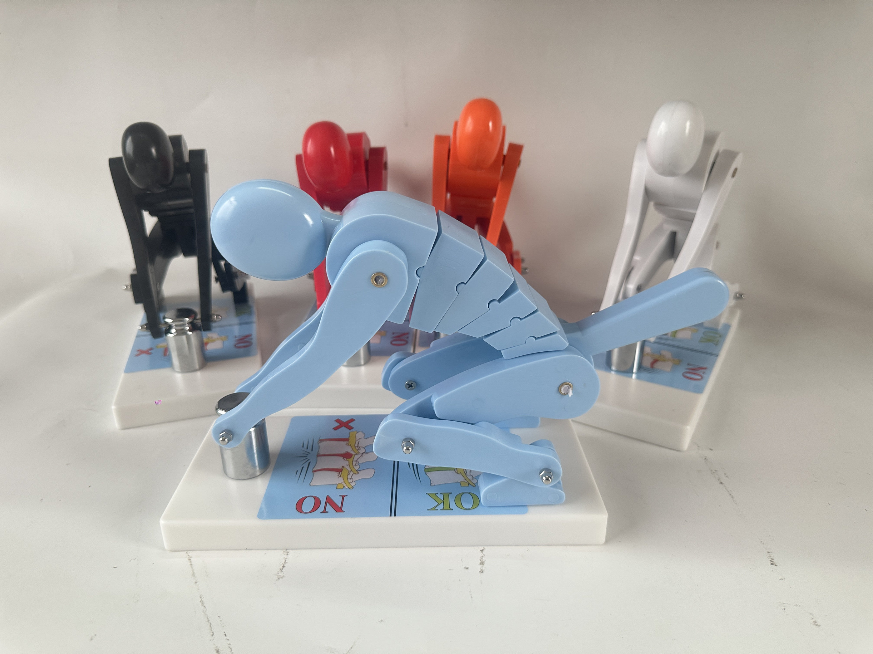 人体举重时脊椎腰椎受力演示模型抬举搬运健康操作健身安全演示